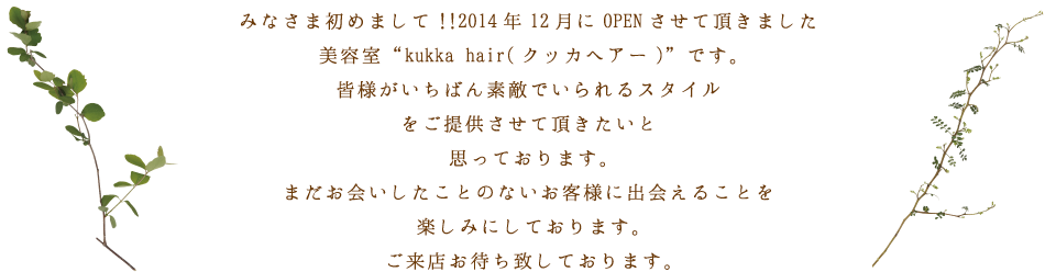 クッカヘアーです